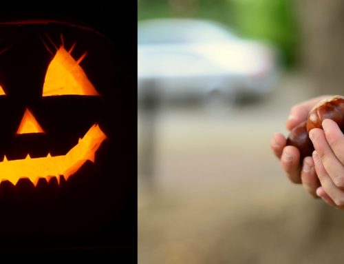 ¿Halloween o Castañada? Diferentes tradiciones para celebrar el Halloween universitario