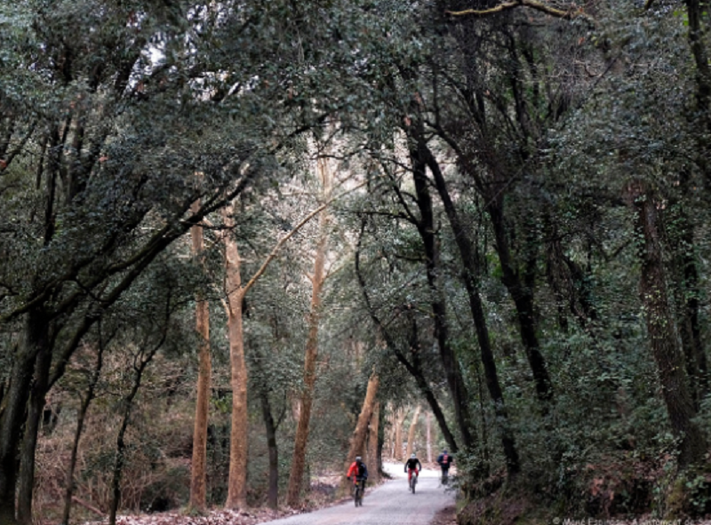 Sant Cugat residencias universitarias en el centro