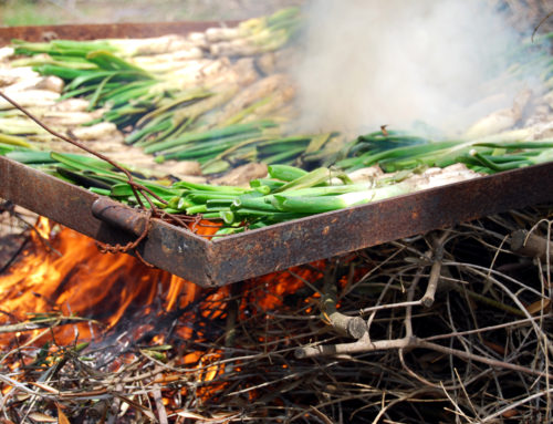 For Erasmus in Catalonia: calçots season!