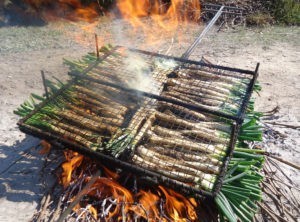 erasmus en Cataluña calçotada