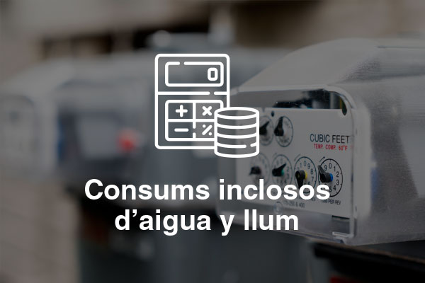 consum inclosos aigua llum