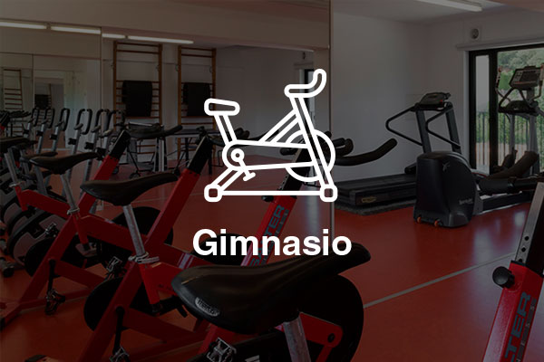 gimnasio