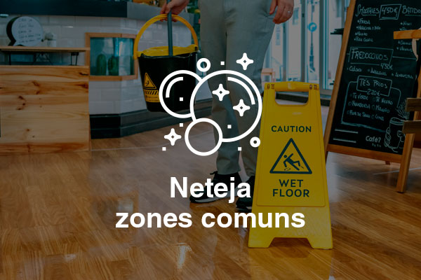 neteja zones comuns