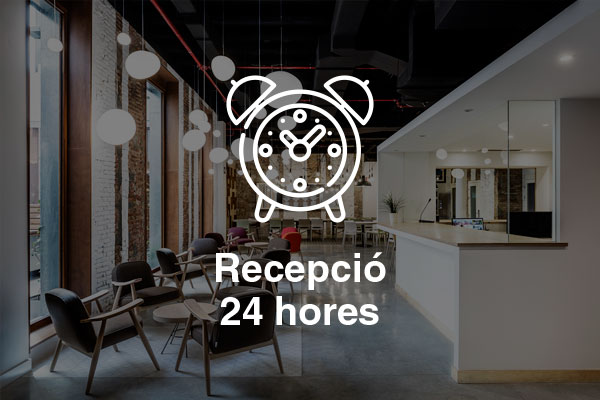 recepcio 24 hores