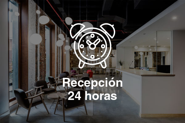 recepcion 24 horas