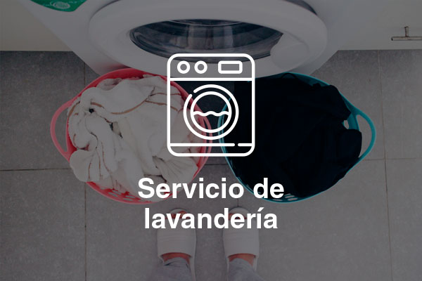 servicio de lavanderia