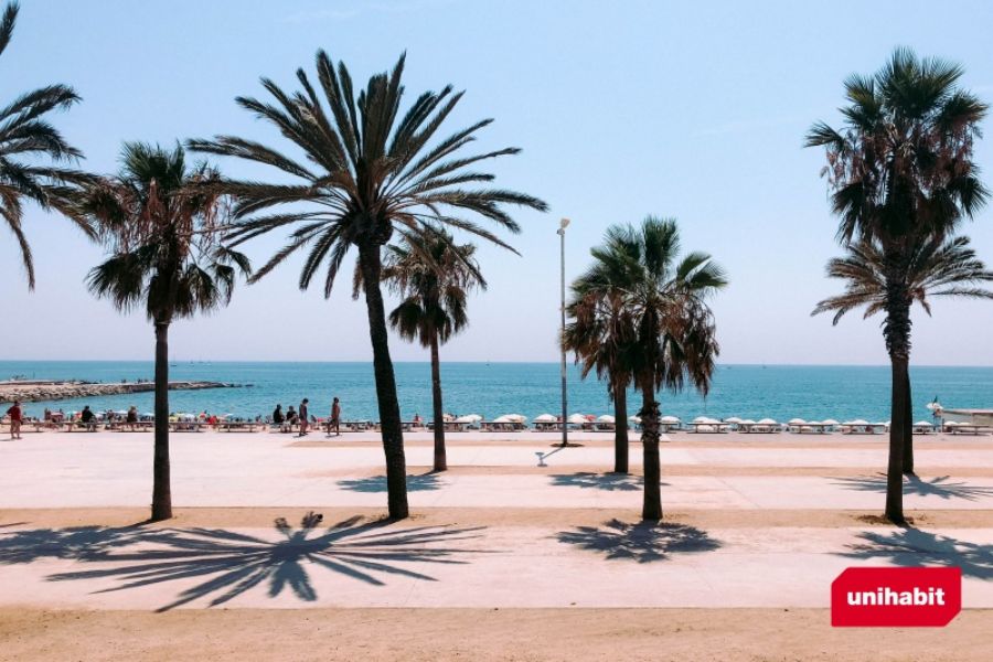 5 raons per les quals estudiar a Barcelona 