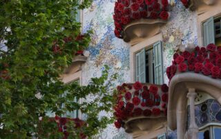 què fer per Sant Jordi Barcelona