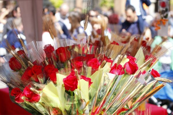 Sant Jordi 2024