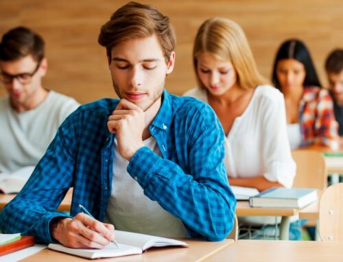 Discover the new university degrees 2025