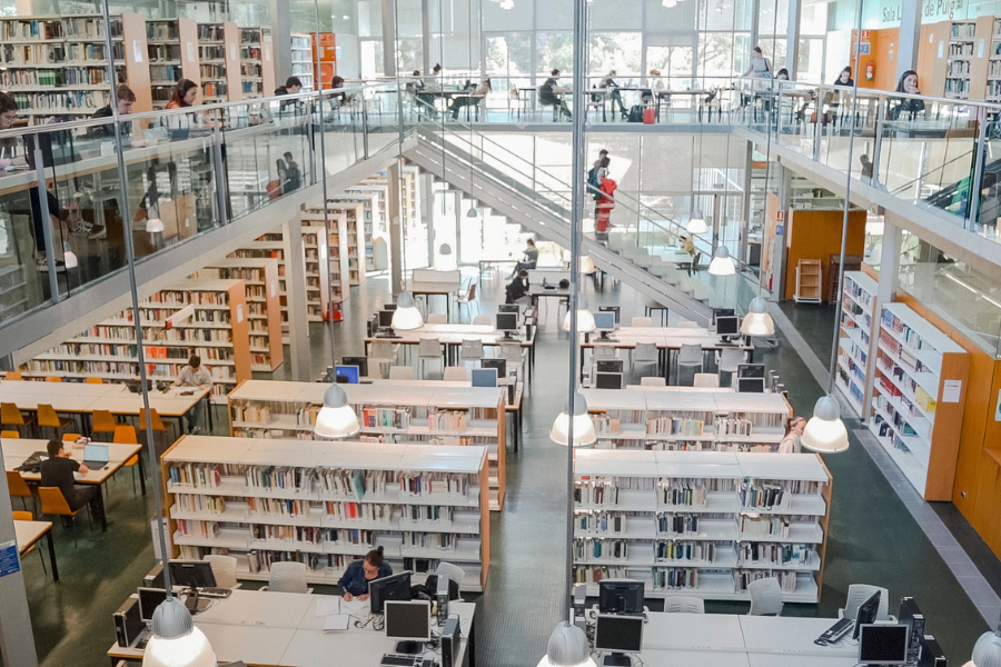ventajas y desventajas de estudiar un doble grado biblioteca